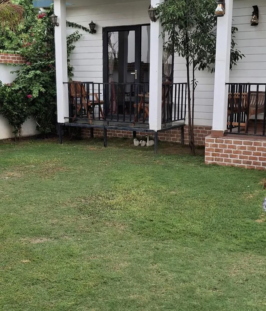 Courtyard By Palm -3Bkh Mini Farm House 구르가온